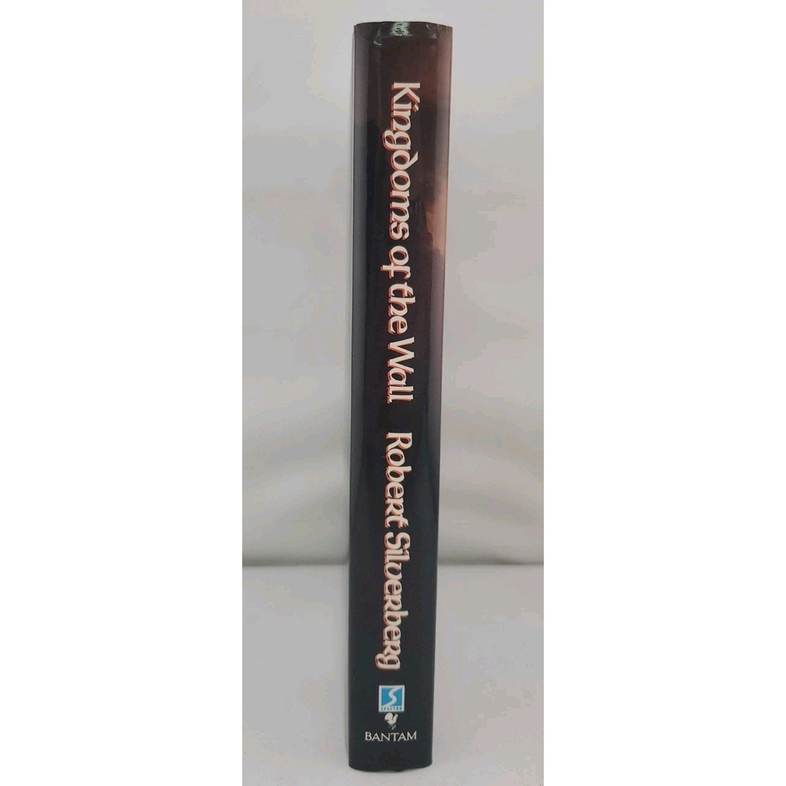Kingdoms of the Wall by Robert A. Silverberg (1993, Hardcover)