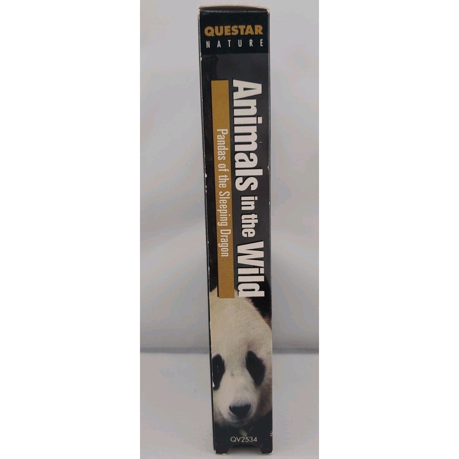 Pandas of the Sleeping Dragon (VHS) Animals in the Wild