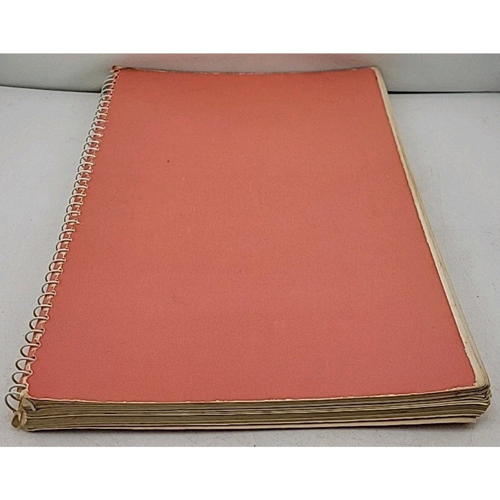 My Favorite Recipes Cookbook Created Compiled by Me! w/ Handwritten Recipes