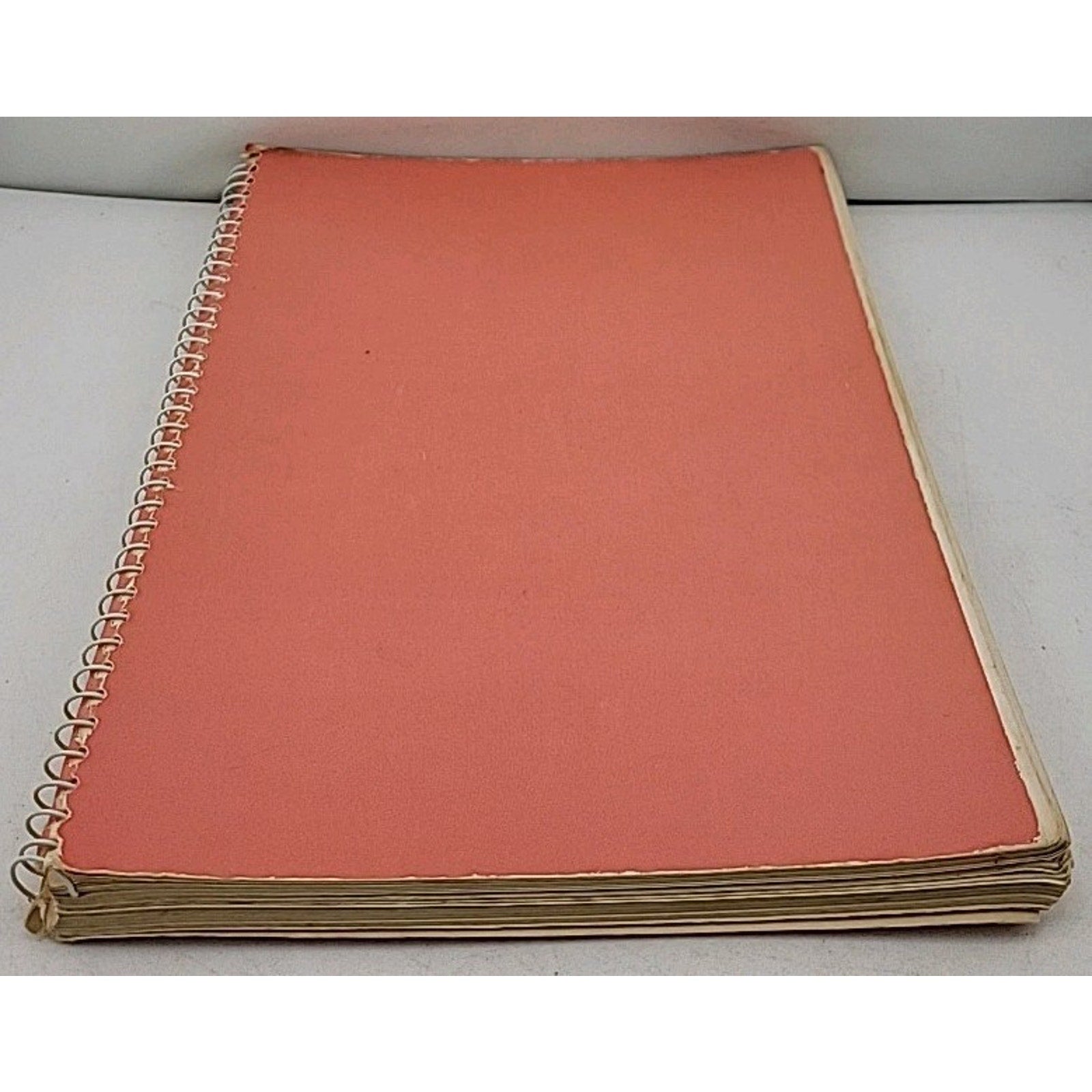 My Favorite Recipes Cookbook Created Compiled by Me! w/ Handwritten Recipes