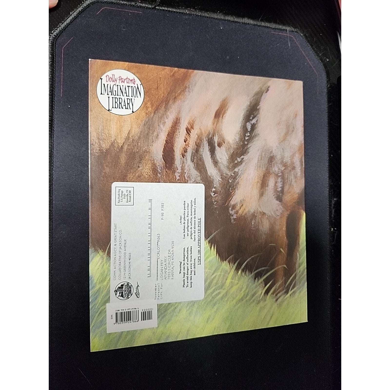 Grandfather Buffalo - Paperback By Arnosky, Jim