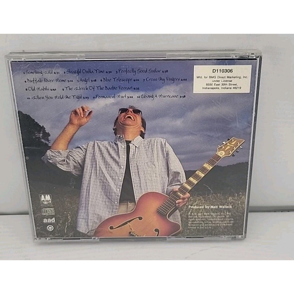 Perfectly Good Guitar by John Hiatt (CD, 1993)