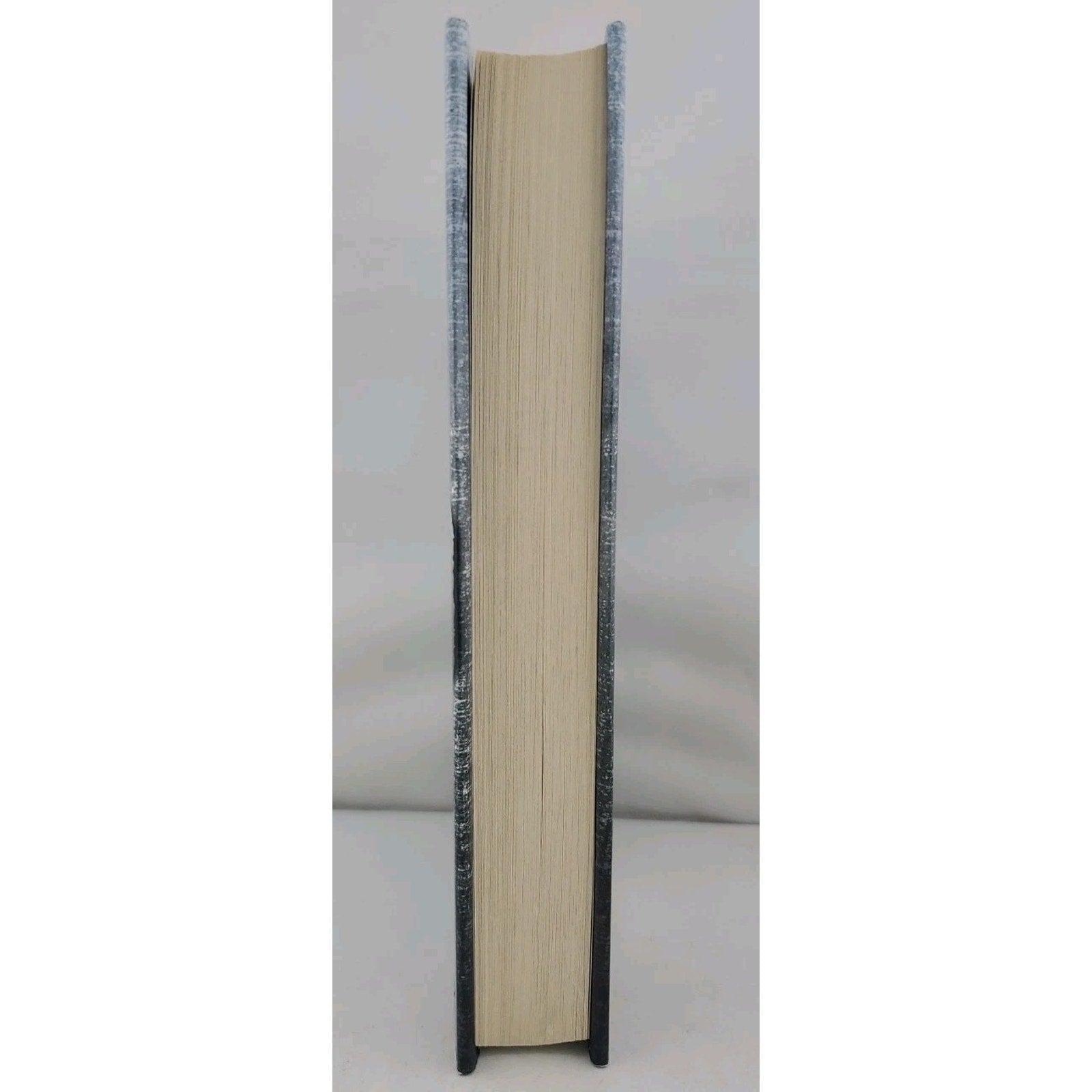 Cherub Mission 7 The Fall by Robert Muchamore (Hardcover)