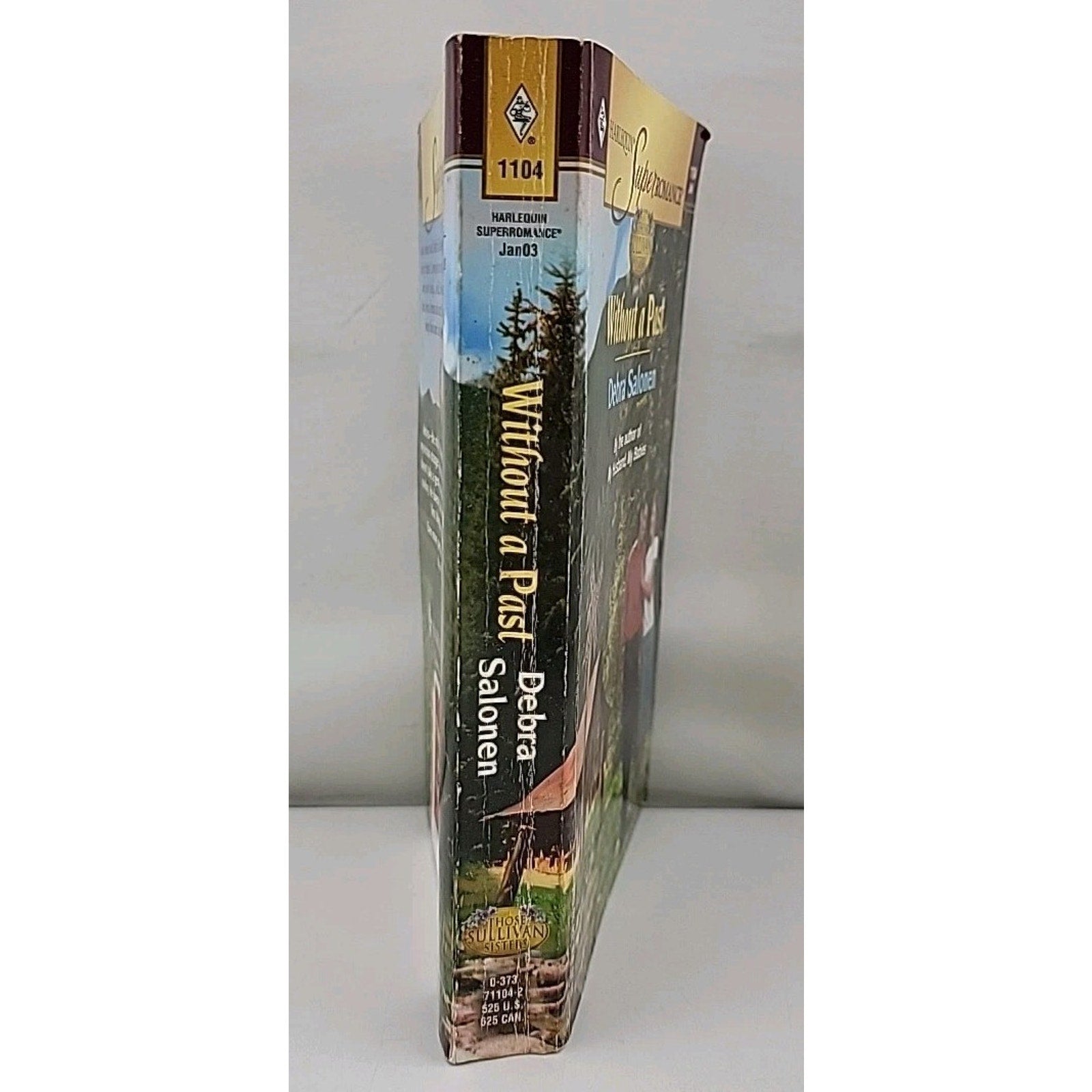 Without a Past by Debra Salonen (2002, Mass Market)