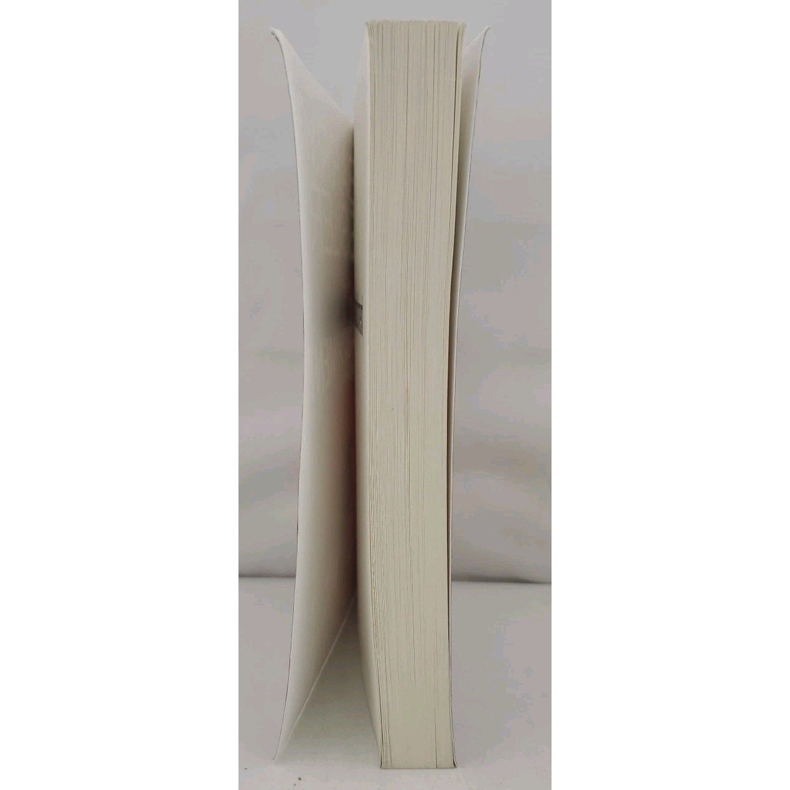 Detachment by Barry Eisler (2011, Trade Paperback)