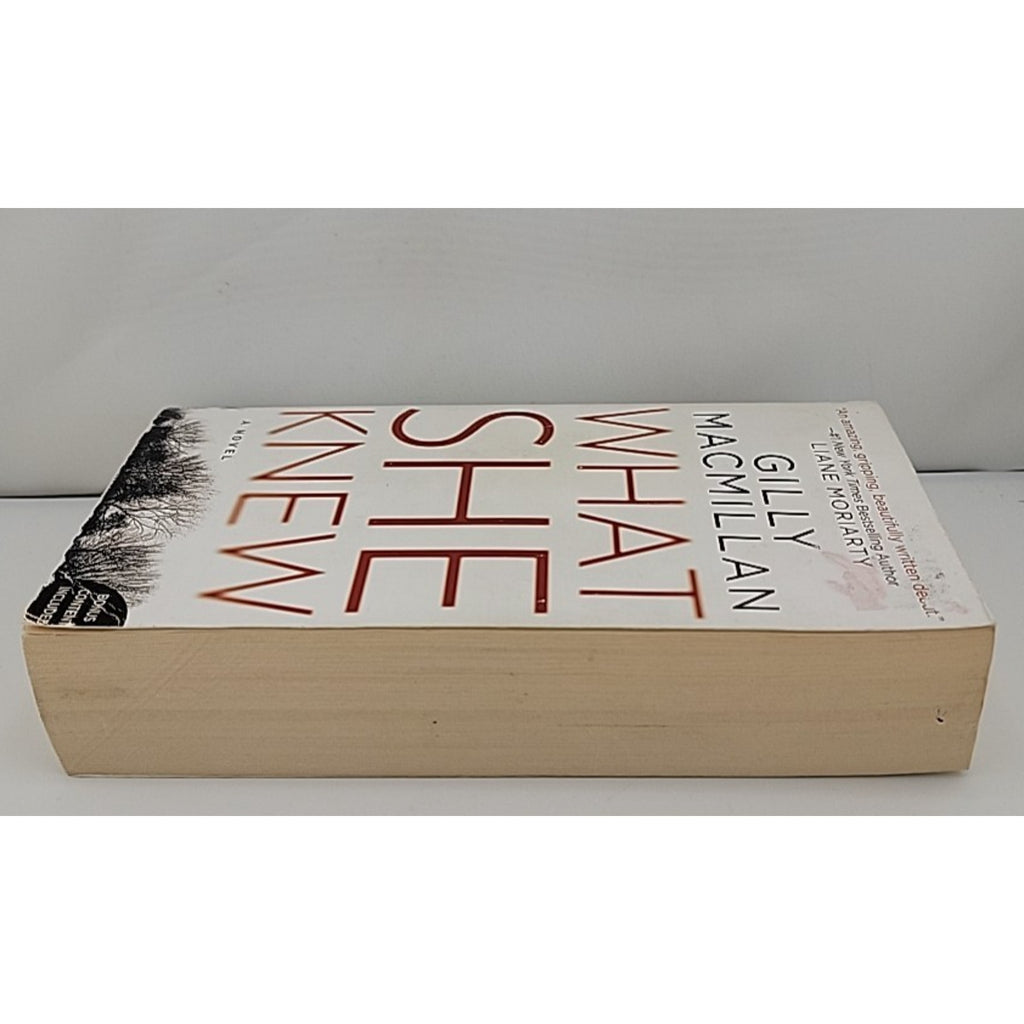 What She Knew : A Novel by Gilly Macmillan (2018, Mass Market)