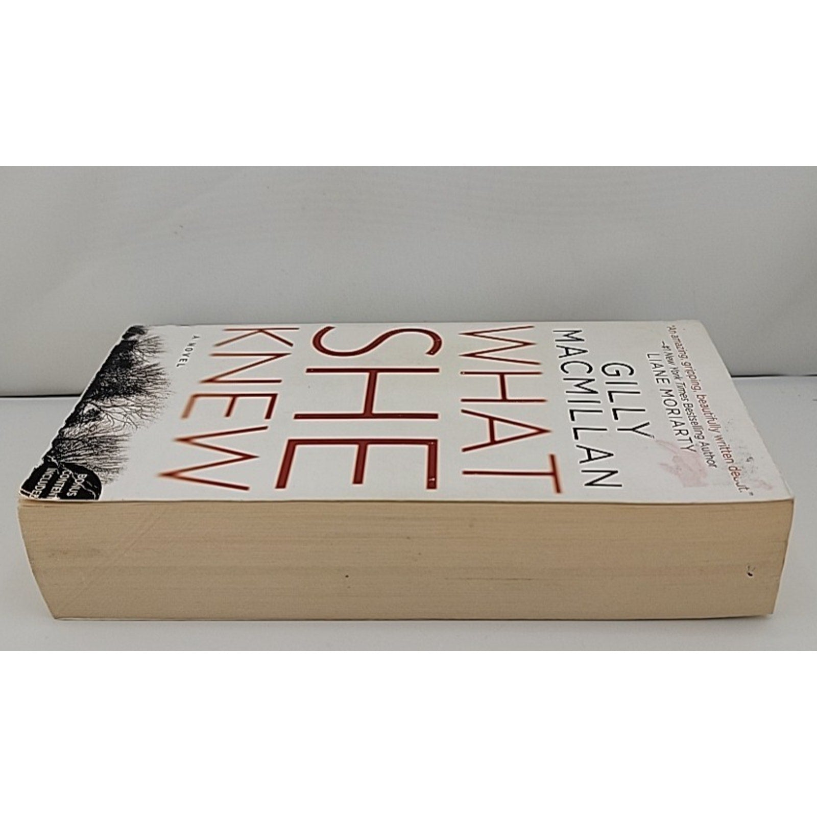 What She Knew : A Novel by Gilly Macmillan (2018, Mass Market)
