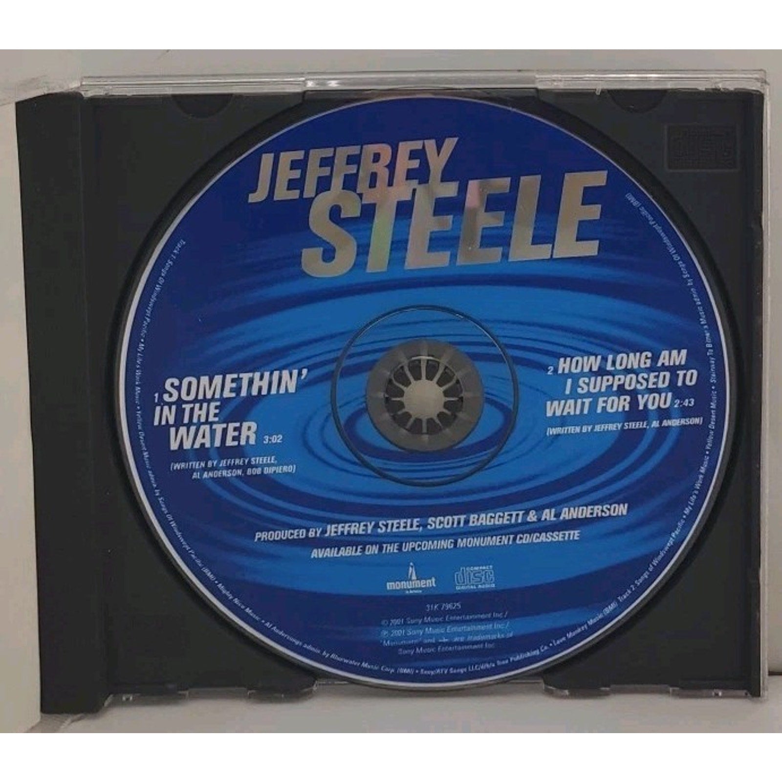 Somethin' in the Water by Jeffrey Steele (CD Single, 2001)