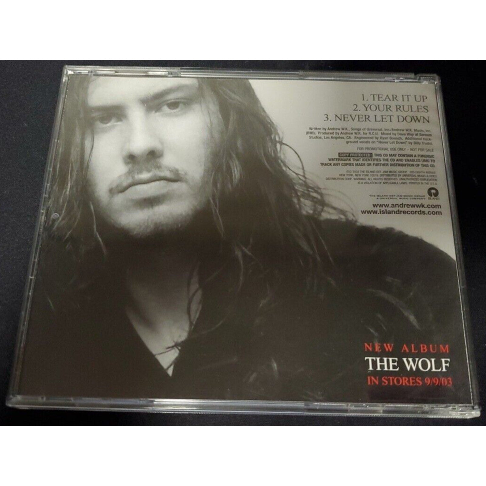 Andrew W.K. - Specialty Radio Sampler (CD, 2003, Island)