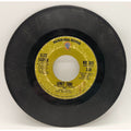 Luney Tune / Elected by Alice Cooper (Record) WB 7631