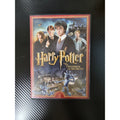Harry Potter and the Chamber of Secrets (2 DVD Set, Year 2, Warner Bros.)