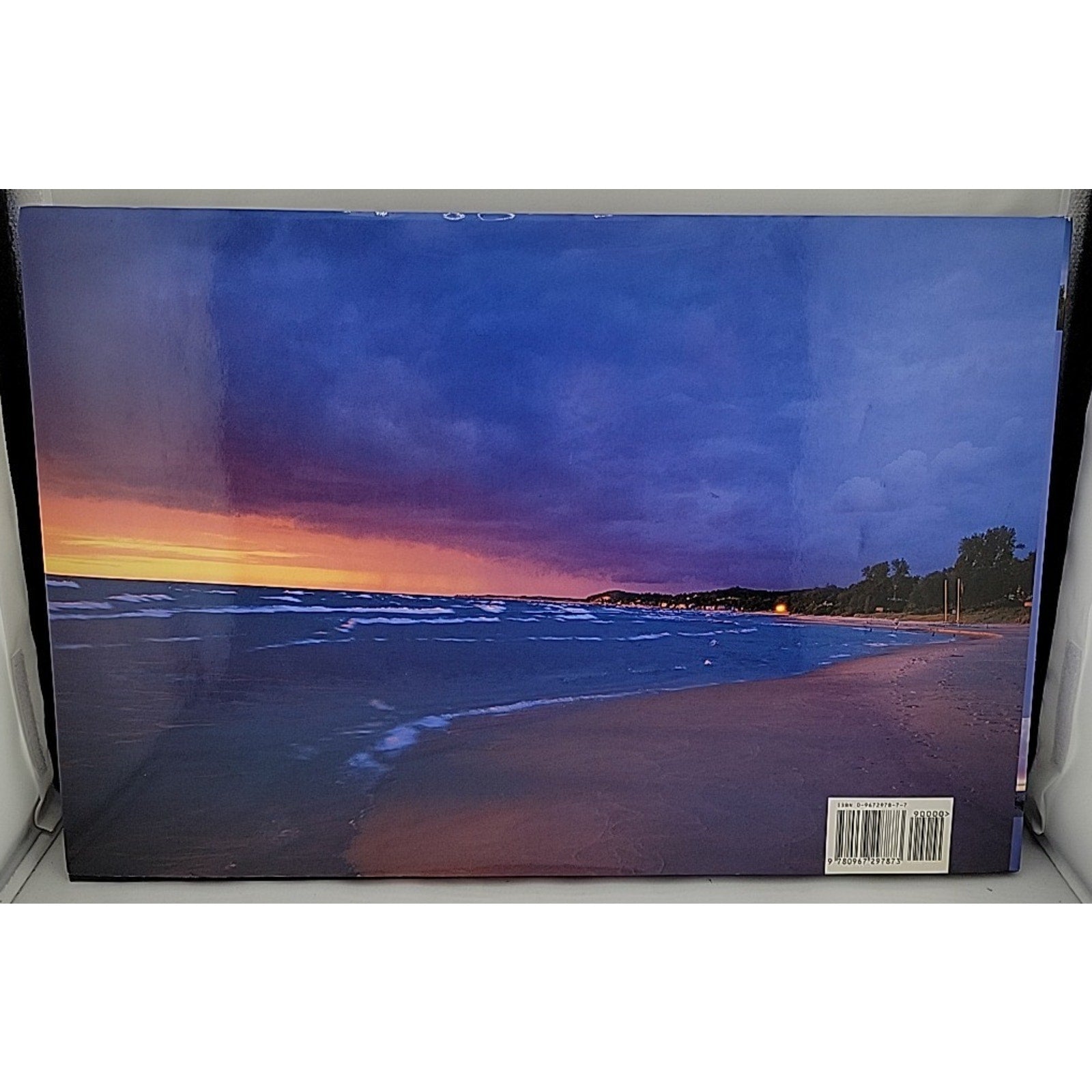 Todd Reed: Ludington Point To Point - Hardcover Signed