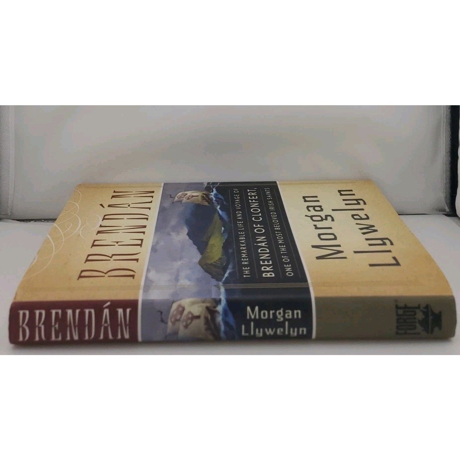Brendan by Morgan Llywelyn (2010, Hardcover)