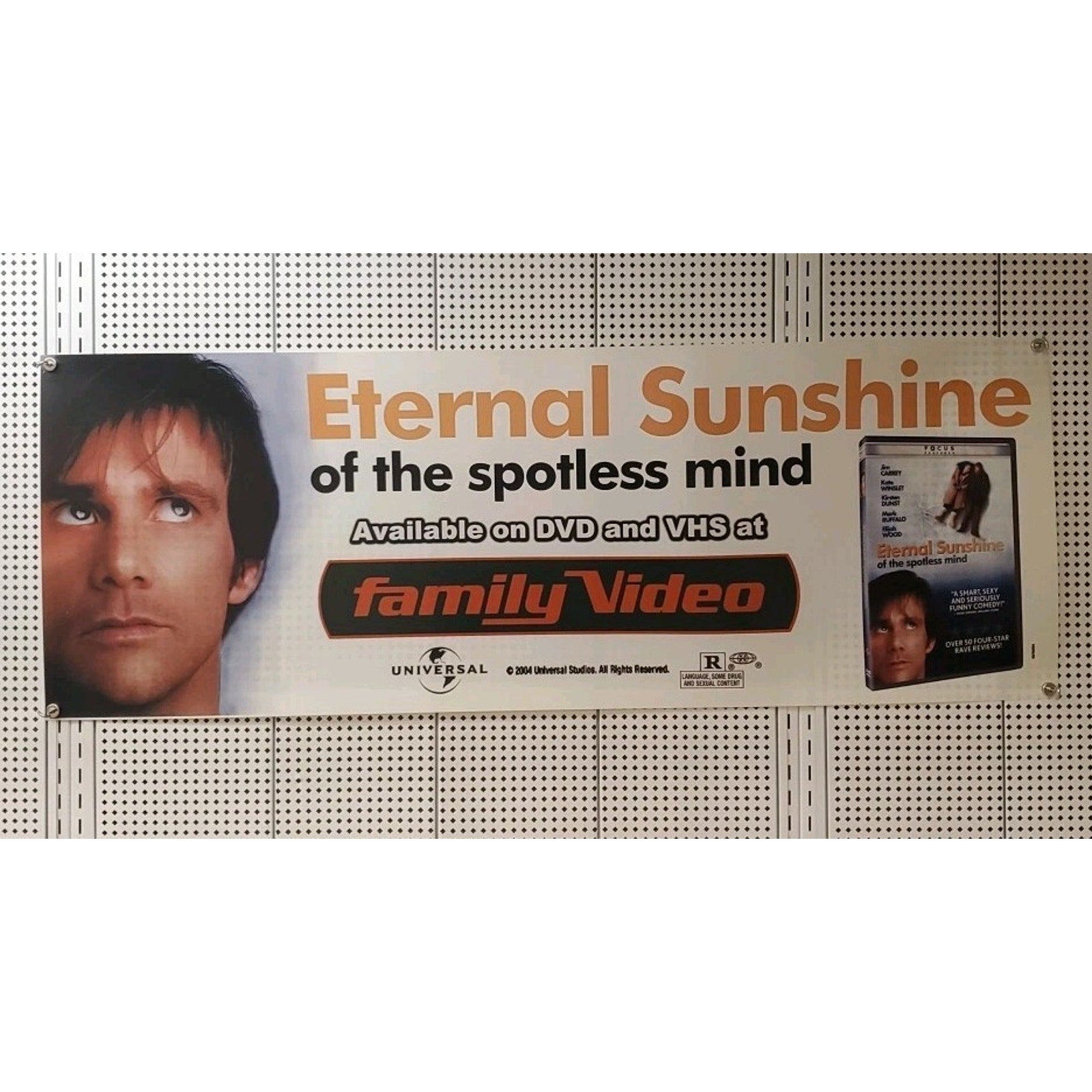 Eternal Sunshine 49x18 Family Video Window Banner