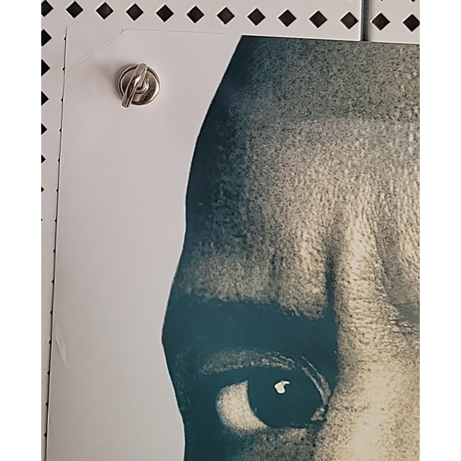 Gridiron Gang Movie Poster 27x40