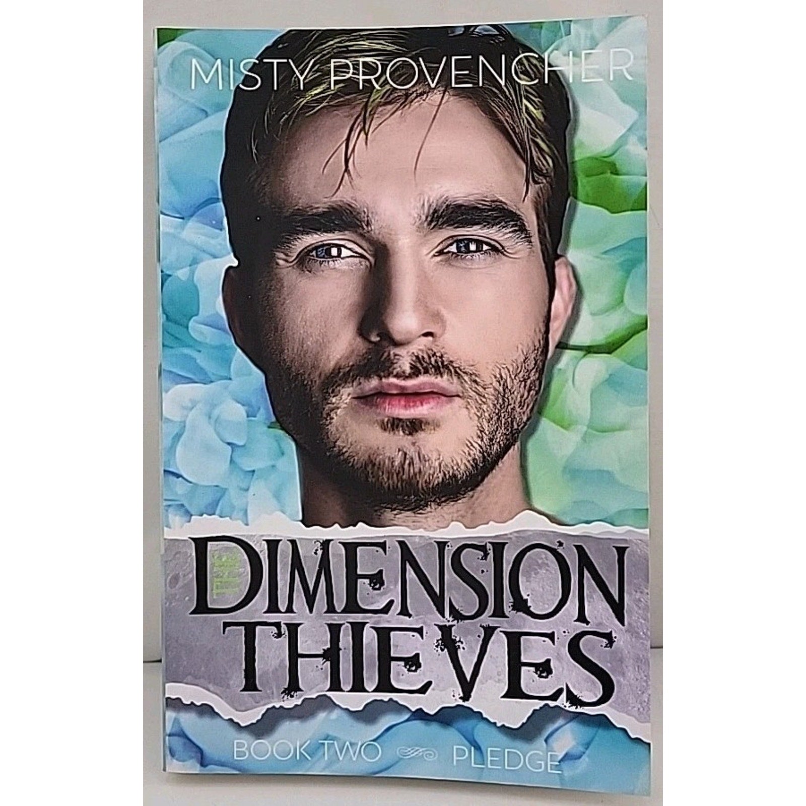 The Dimension Thieves: Book Two - Pledge By Misty Provencher
