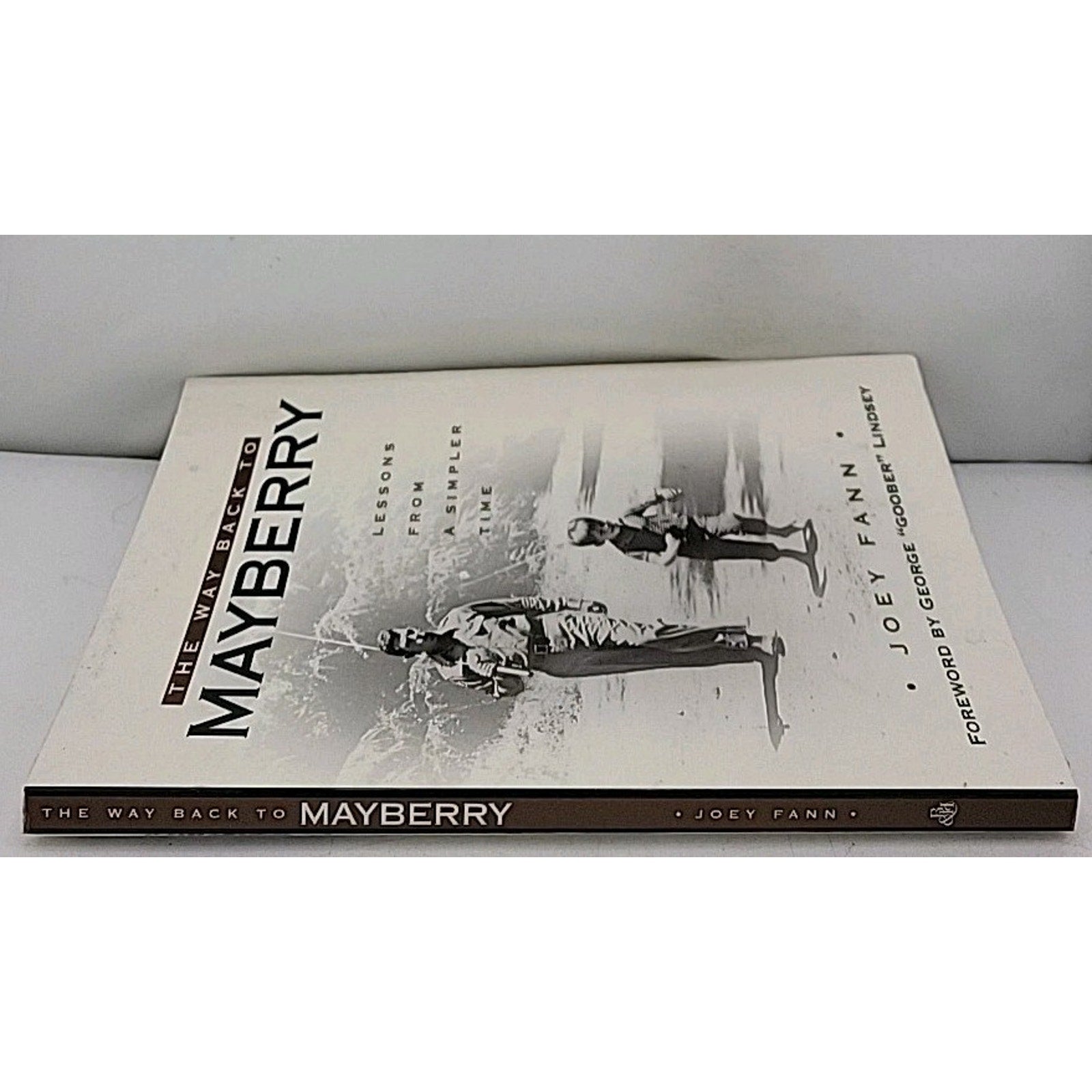Way Back to Mayberry : Lessons from a Simpler Time by Joey Fann (2001, Trade...