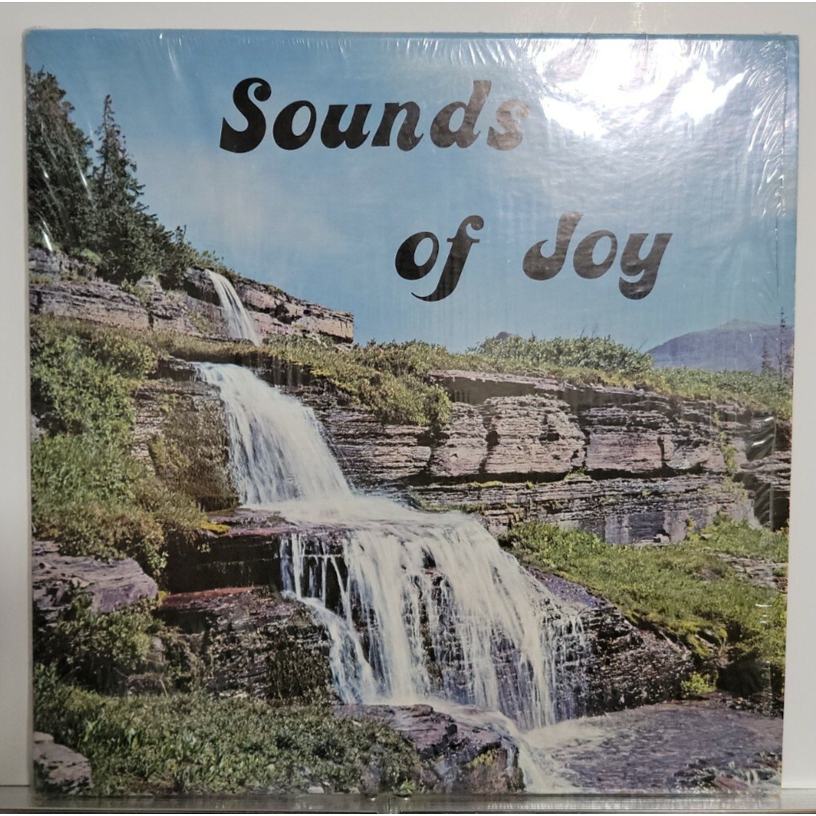 Sounds Of Joy - Michigan 1974 (Vinyl)
