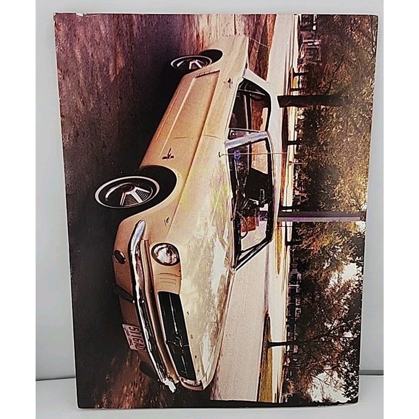 Mustang Times Volume 13 No 6 June 1989