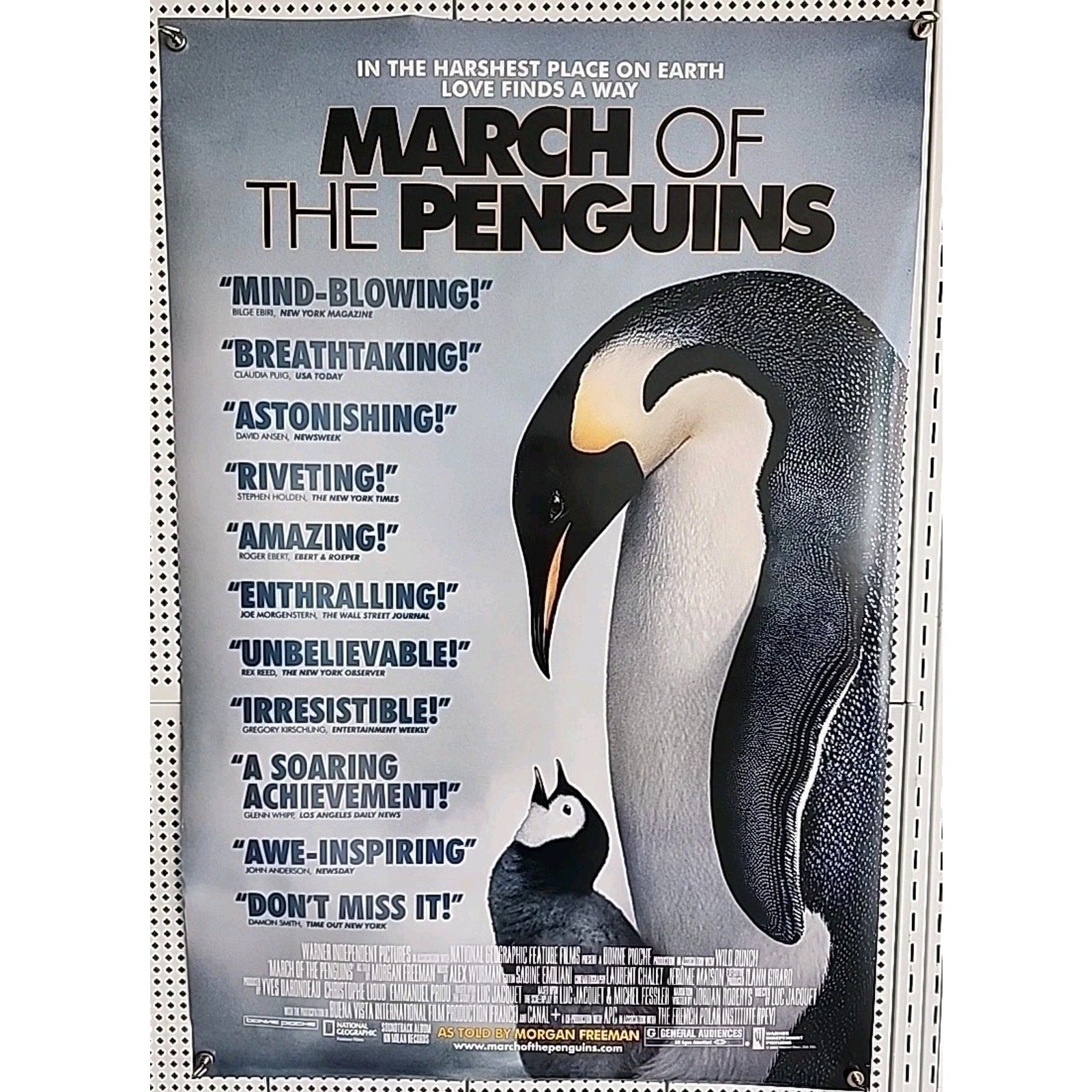 March of the Penguins 2005 Double Sided Original Movie Theater Poster 27" x 40"