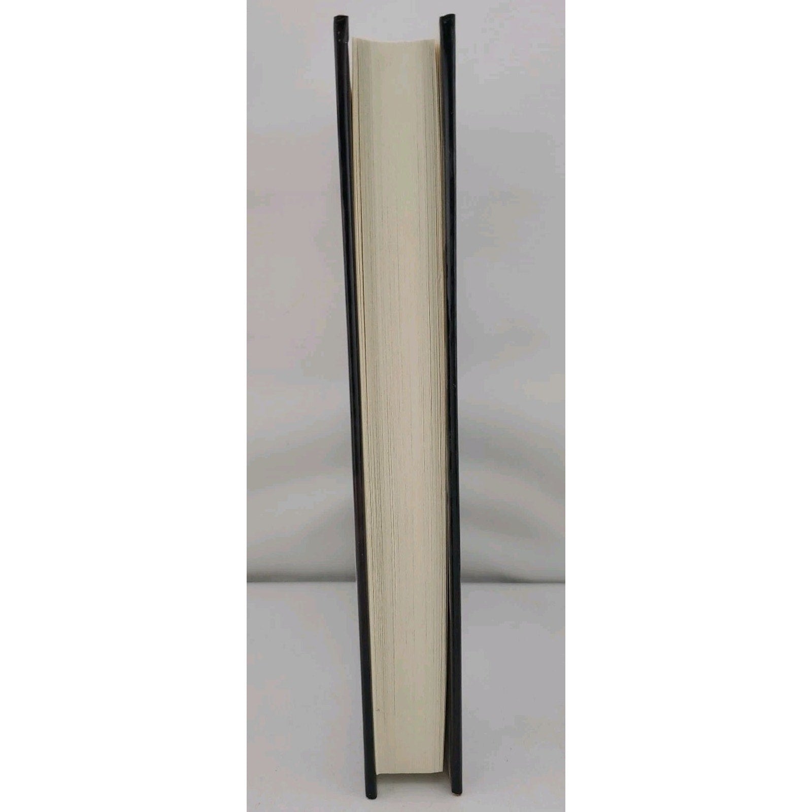 Kingdoms of the Wall by Robert A. Silverberg (1993, Hardcover)