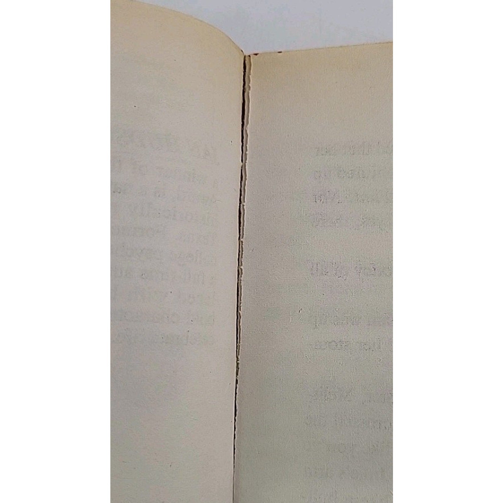 In Roared Flint by Jan Hudson (1996, Mass Market)