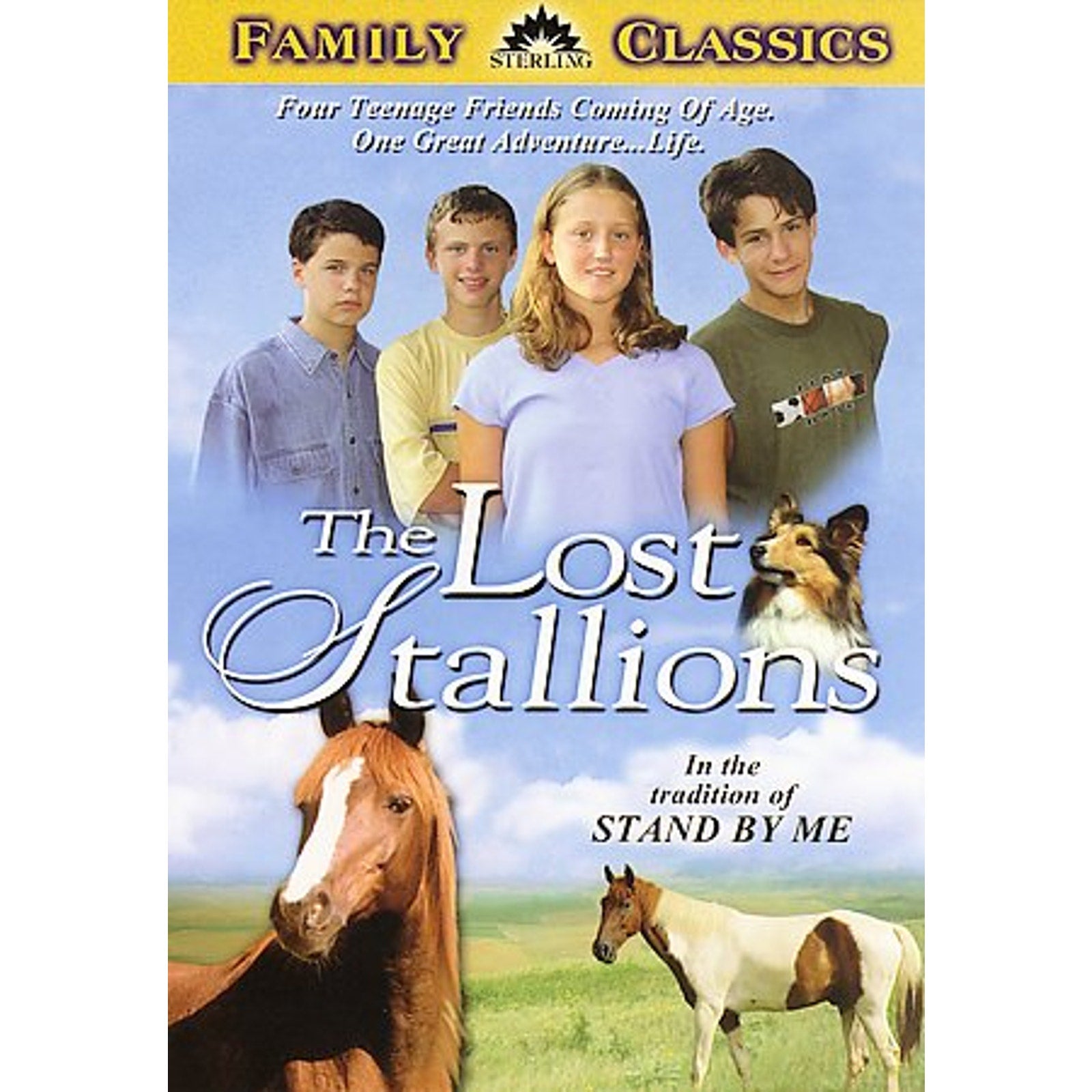 Lost Stallions (DVD, 2006)
