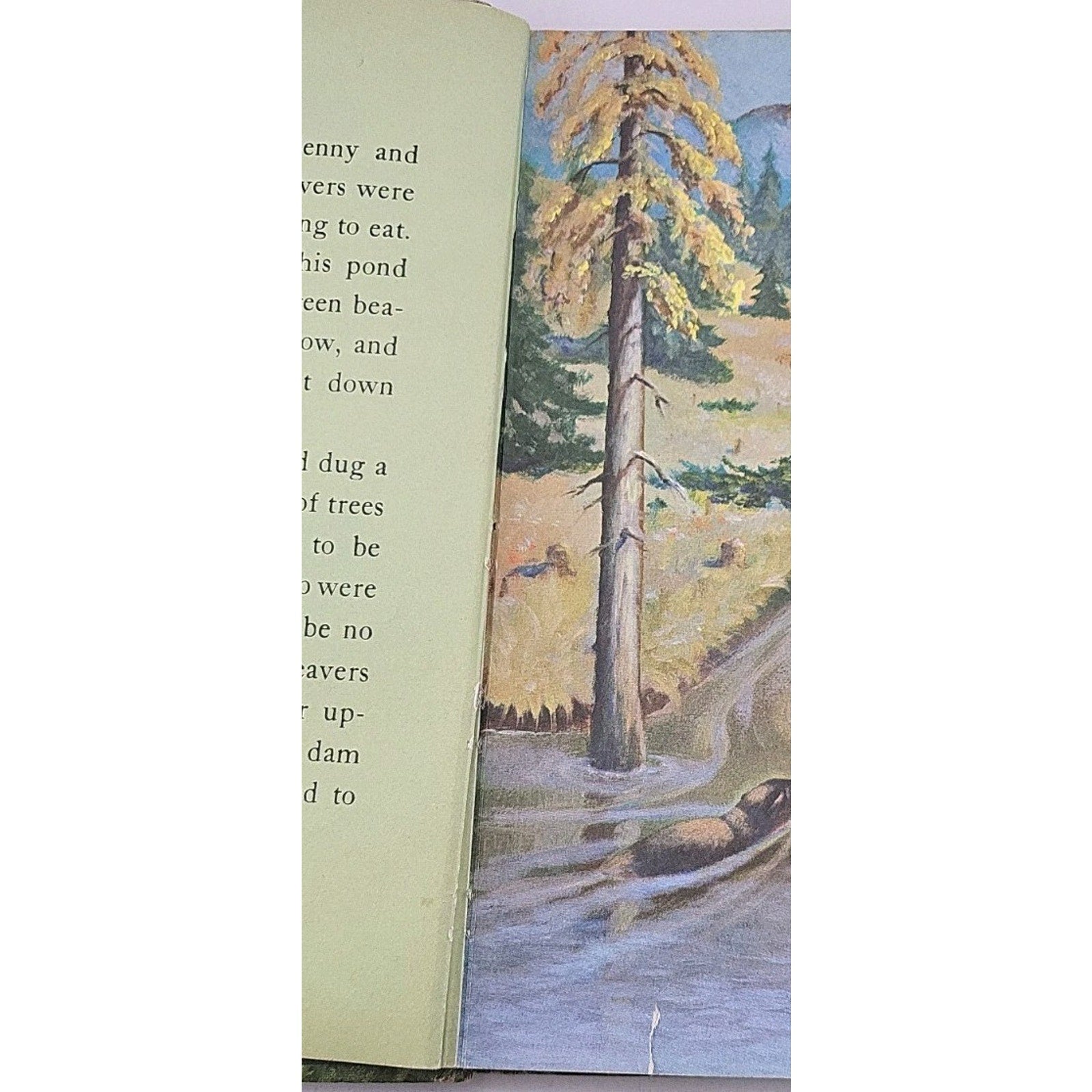 Benny The Beaver By Harry Baerg 1964 Preview & Harold Publishing