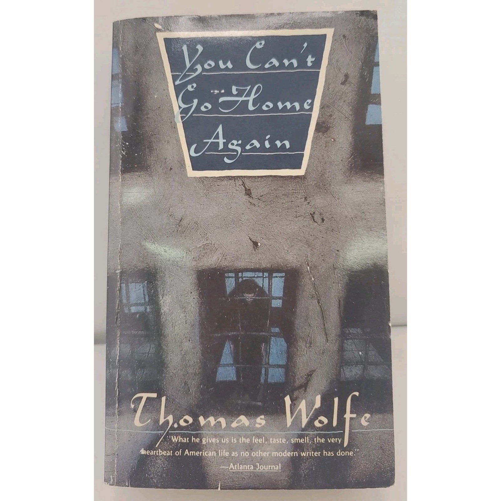 You Can't Go Home Again by Thomas Wolfe (1989, Trade Paperback)