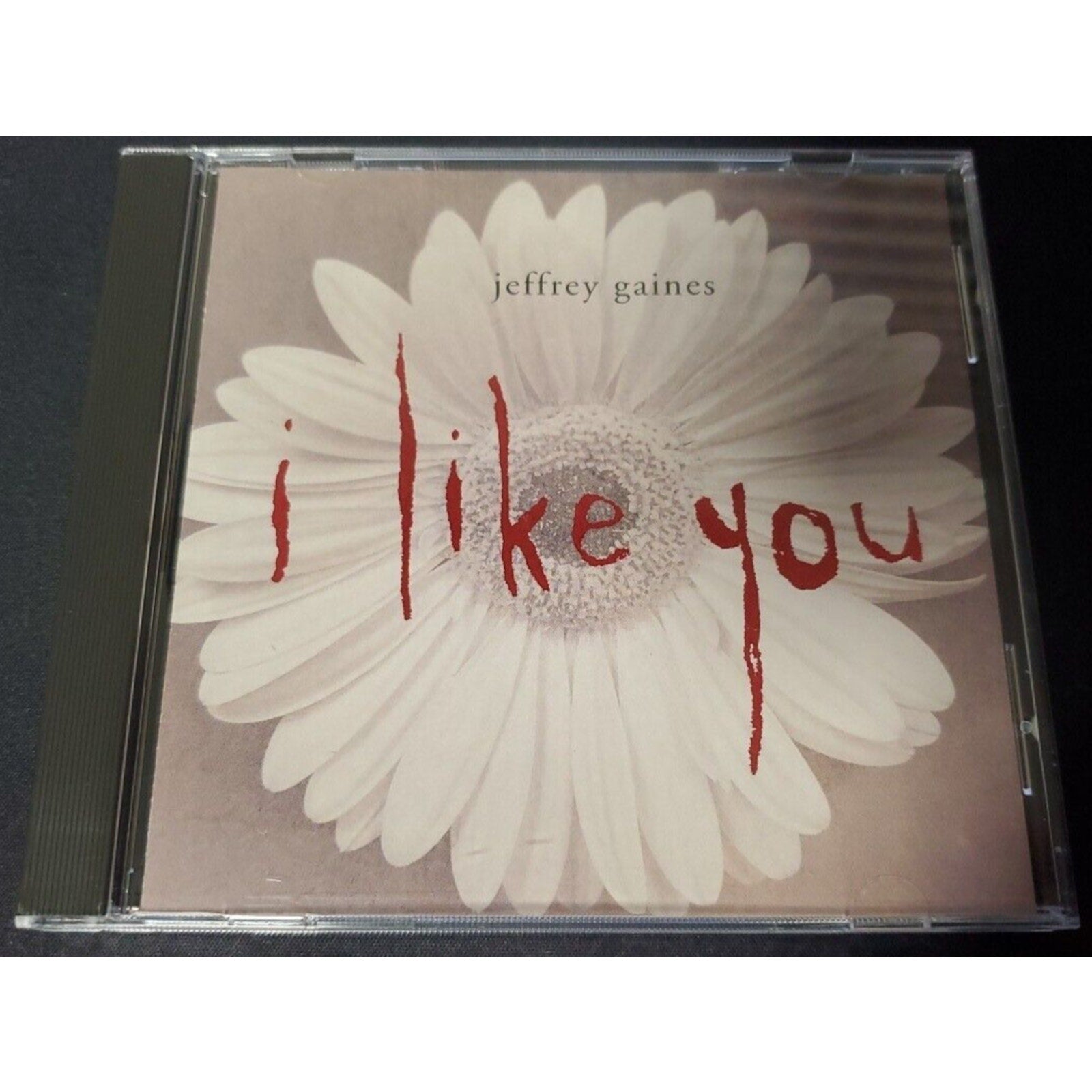 I Like You [Single] by Jeffrey Gaines (CD, Aug-1994, Chrysalis Records)