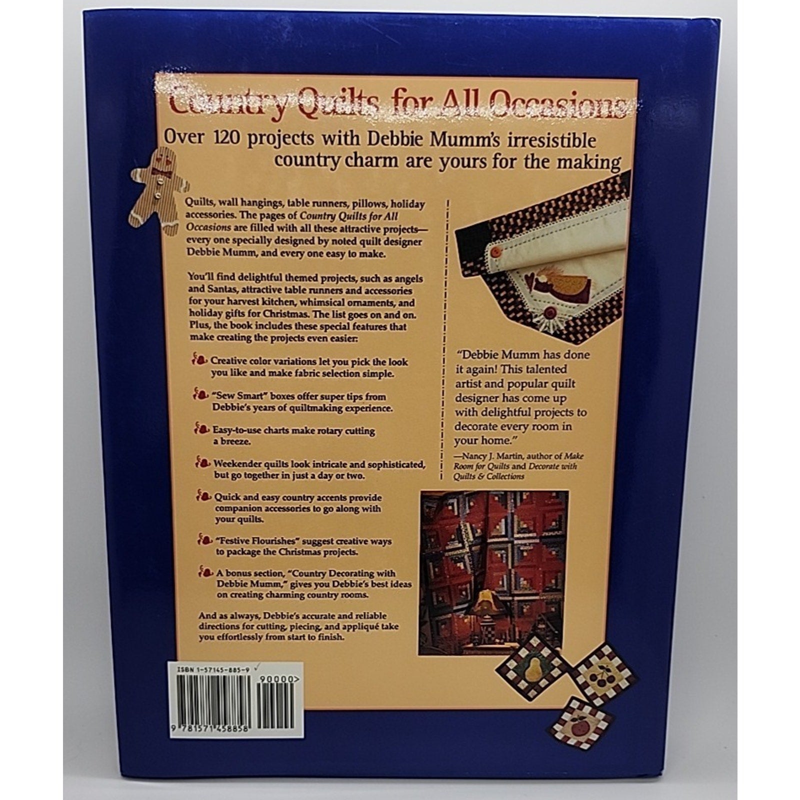 Debbie Mumm's Country Quilts for All Occasions : 120 Quilts, Decorations and...