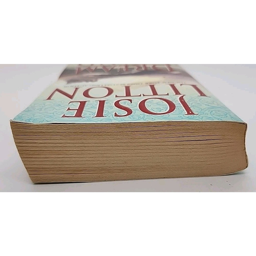 Dream Island by Josie Litton (2002, Mass Market)