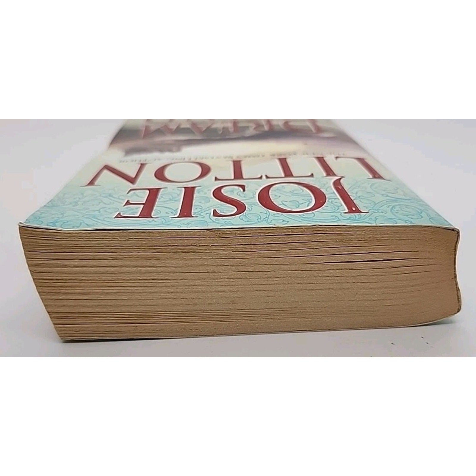 Dream Island by Josie Litton (2002, Mass Market)