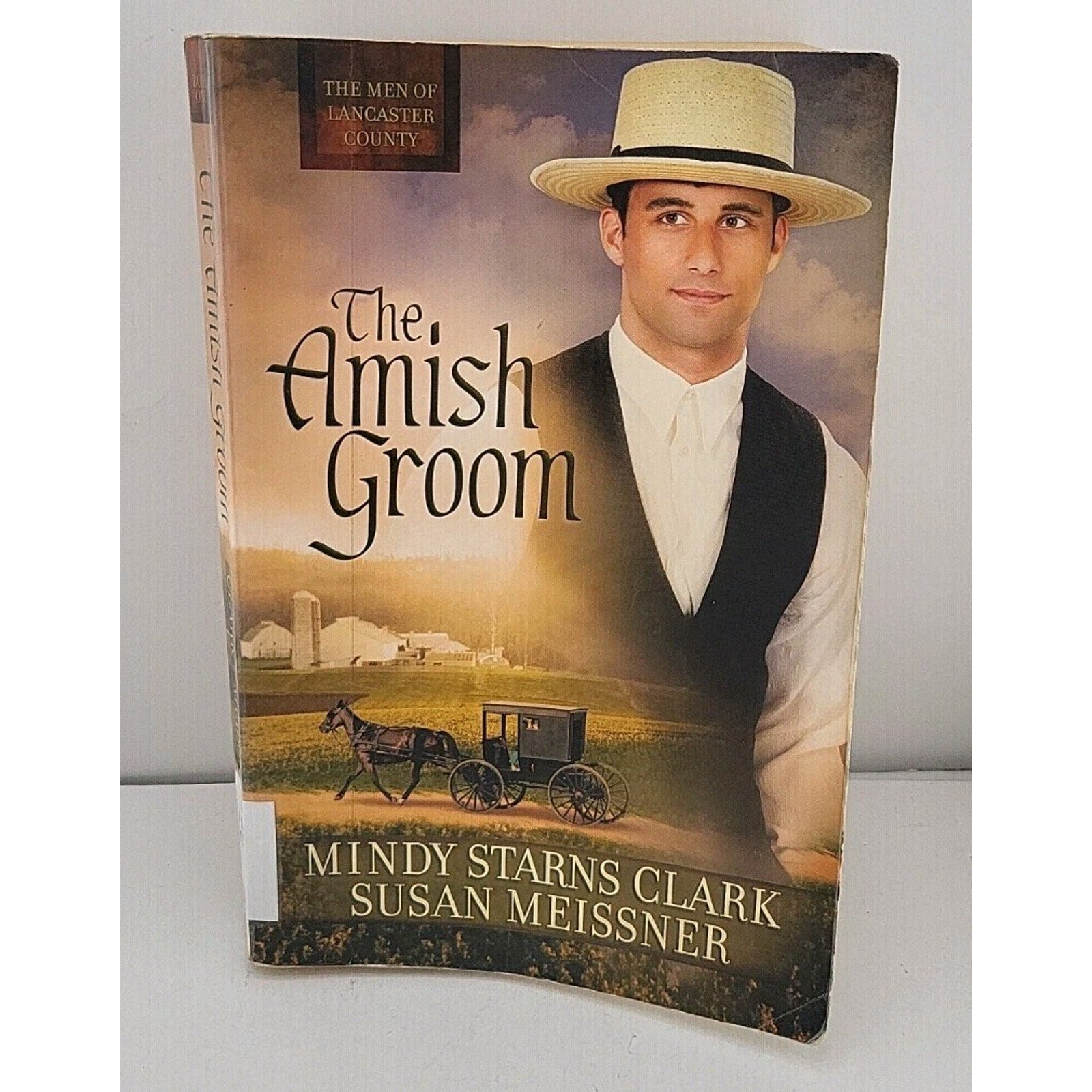 Amish Groom by Mindy Starns Clark and Susan Meissner (2014, Trade Paperback)