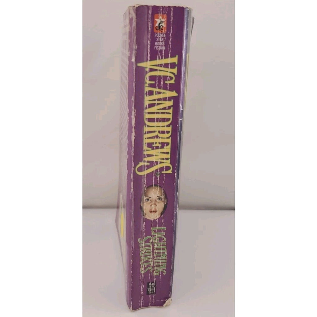 Lightning Strikes by V. C. Andrews (2000, Mass Market)