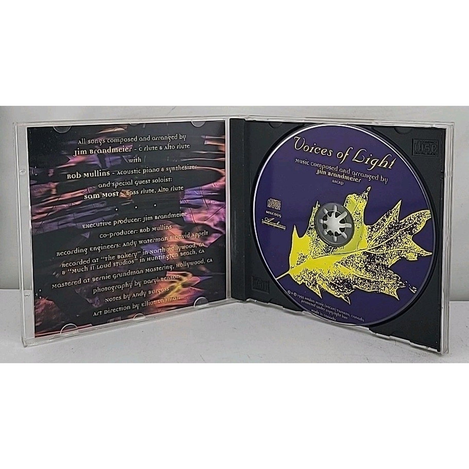 Voices of Light by Jim Brandmeier (CD, 1998)