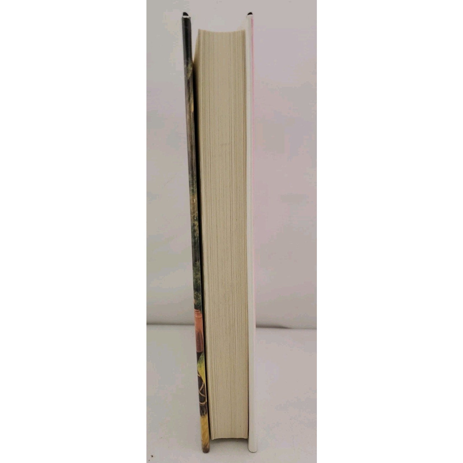 Did You Say Chicks - Mass Market Paperback By Esther Friesner