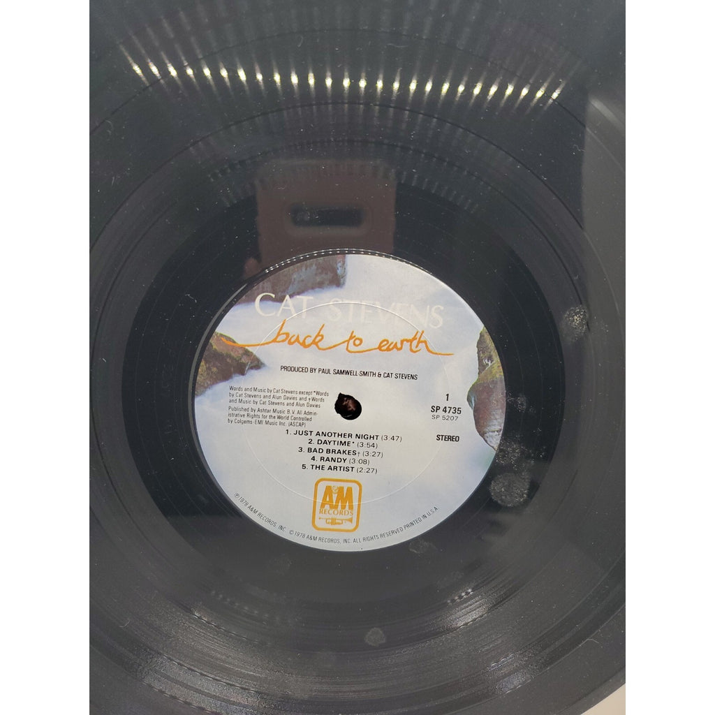 Back To Earth by Yusuf ( Stevens, Cat ) (Record, 2019)
