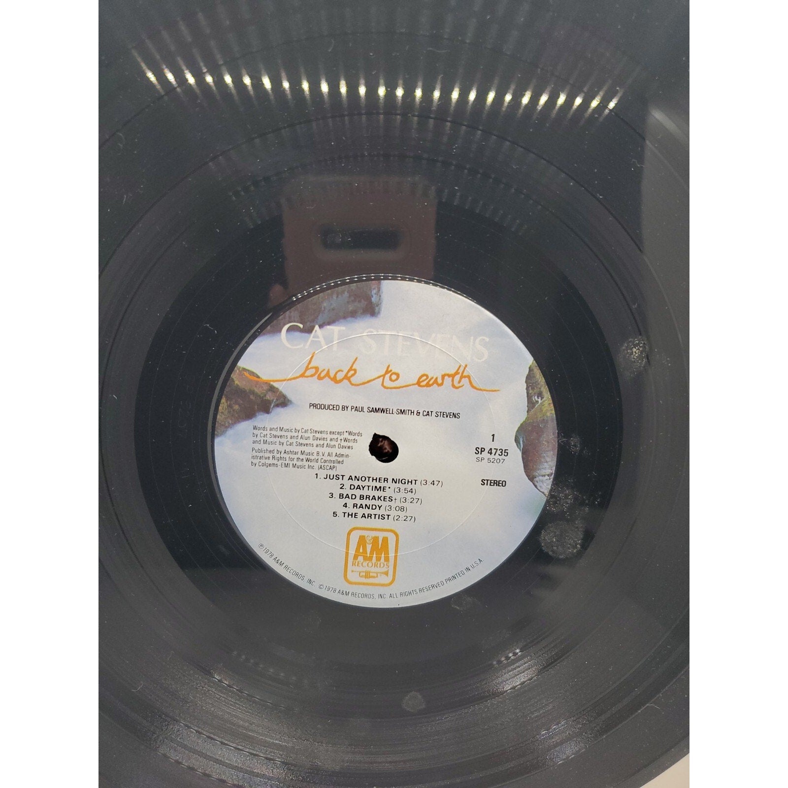 Back To Earth by Yusuf ( Stevens, Cat ) (Record, 2019)