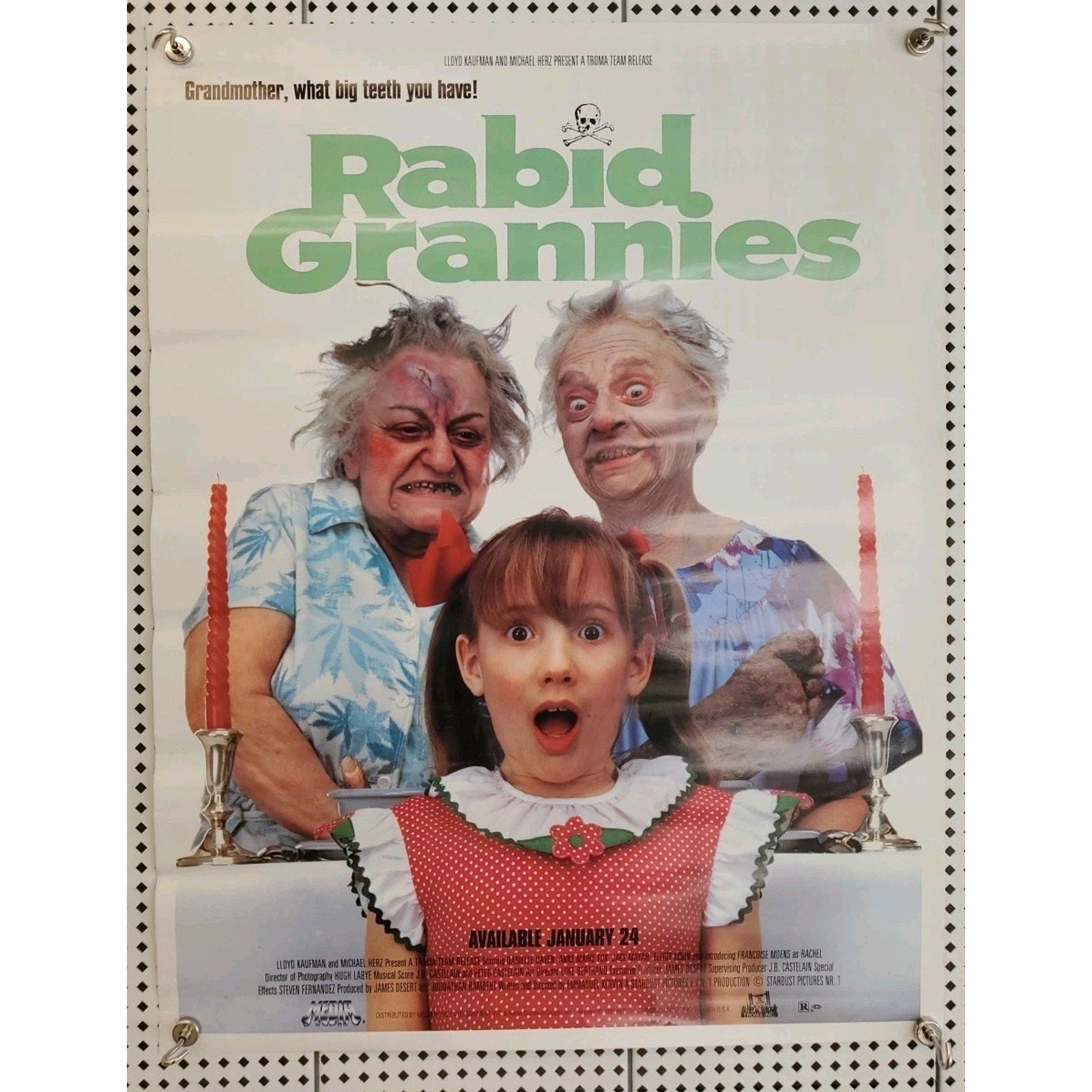 Rabid Grannies 20x25 Movie Poster