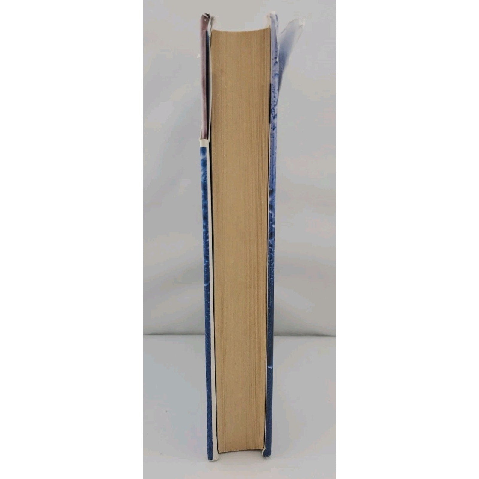 Blue Zone by Andrew Gross (2007, Hardcover)