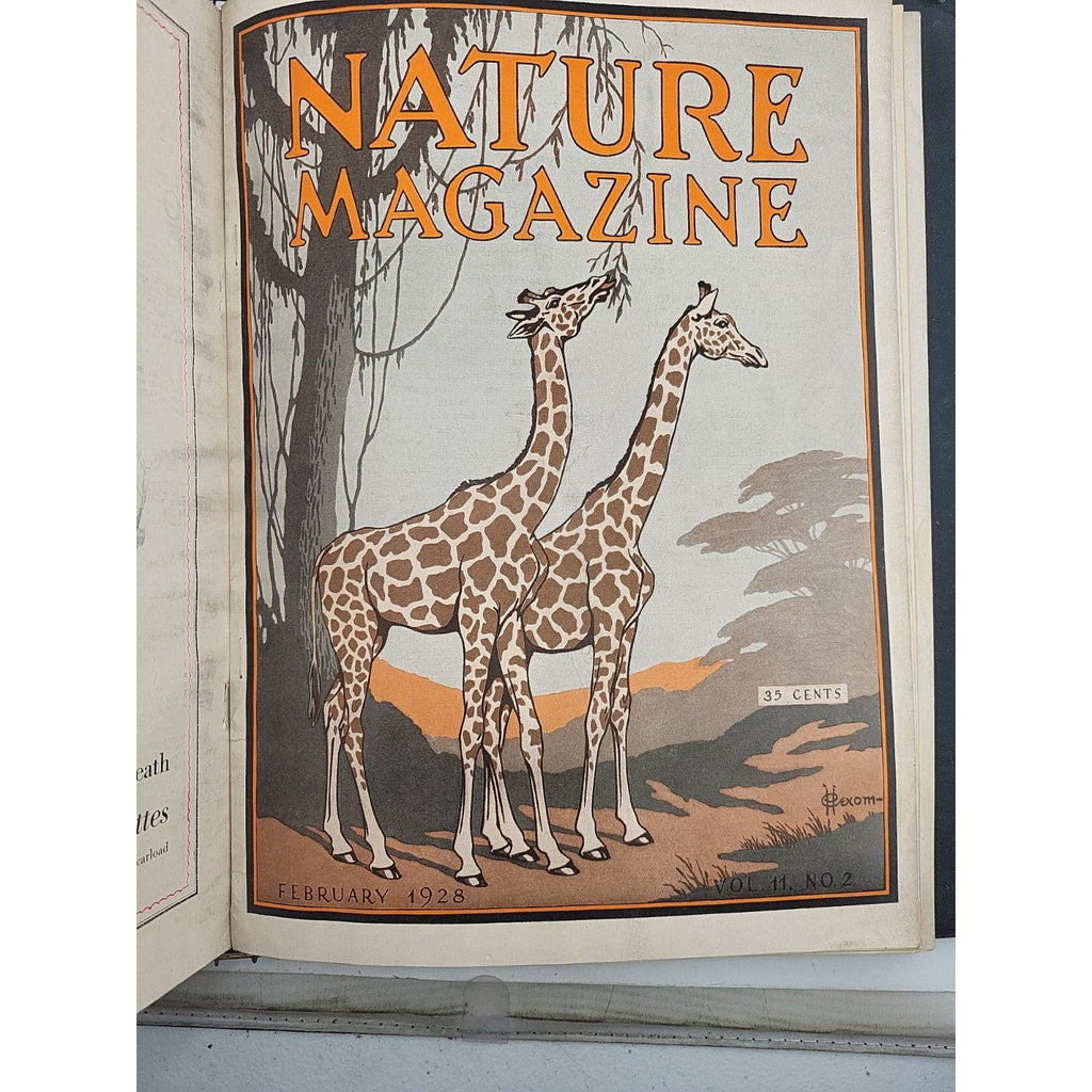 1927 Nature Magazine-12 Months In Embossed Green Leather Album Texas Issue.
