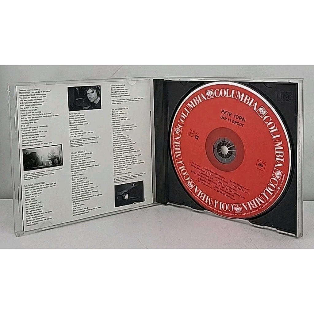 Day I Forgot by Pete Yorn (CD, 2003)