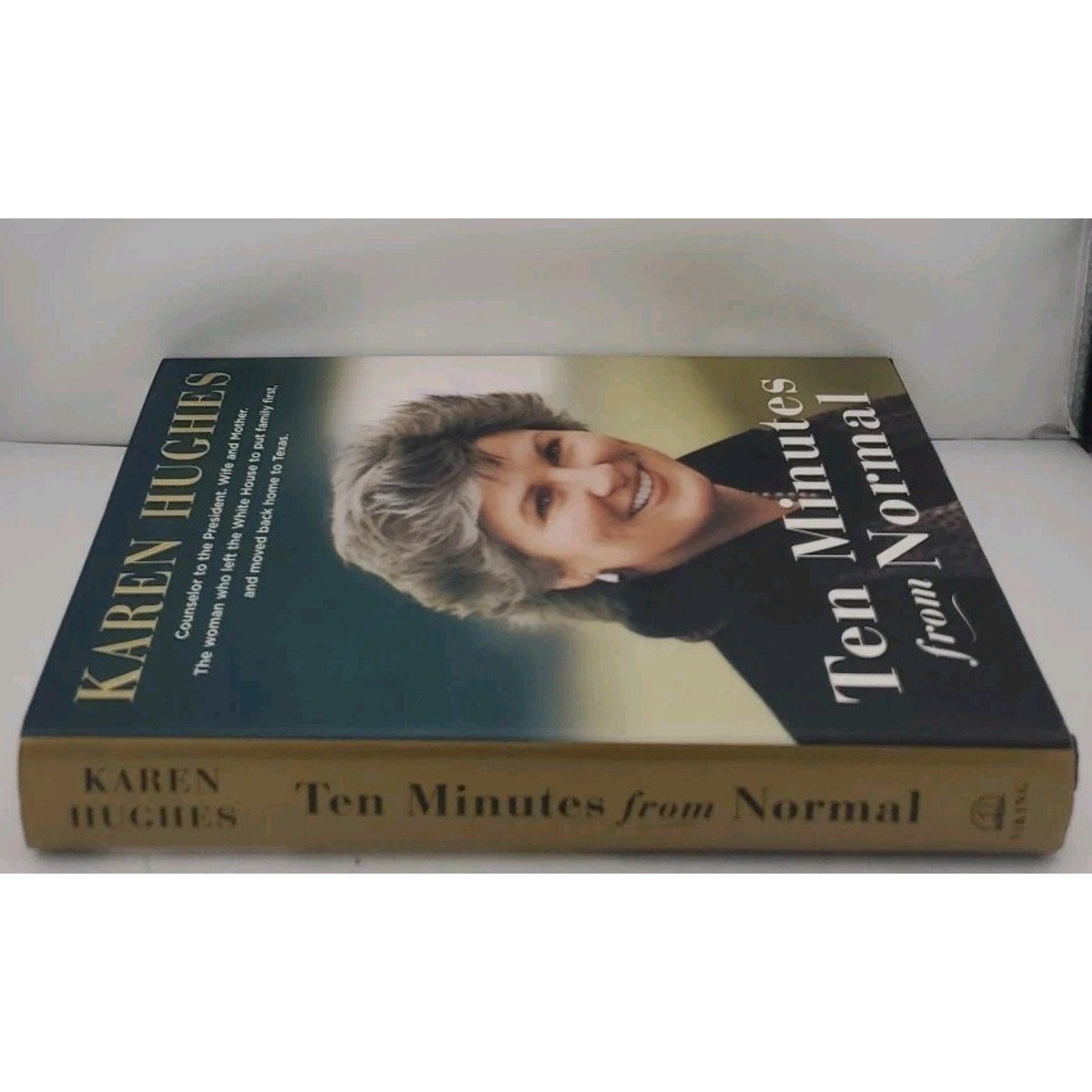 Ten Minutes from Normal by Karen Hughes (2004, Hardcover)