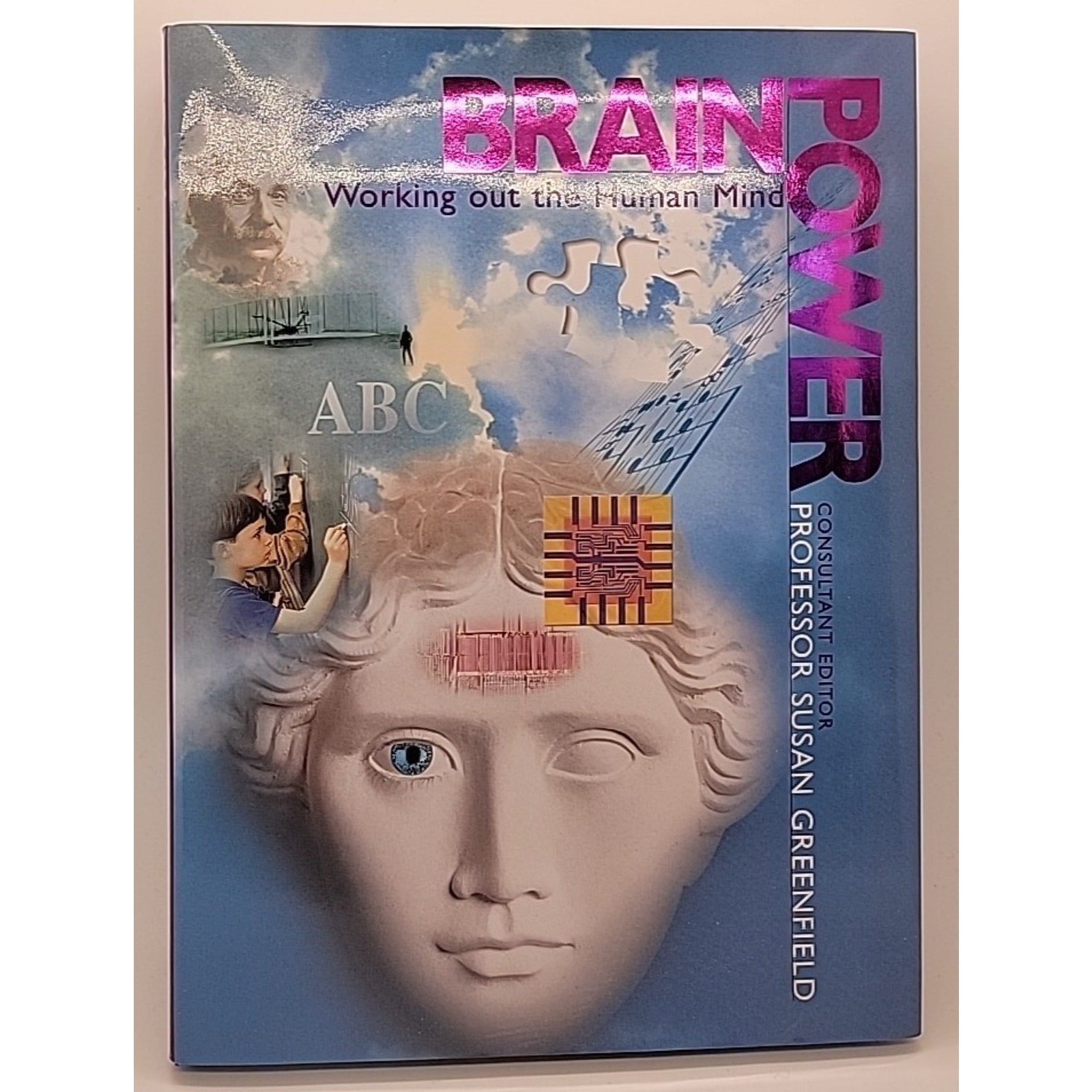 Brainpower : Working Out the Human Mind by Susan Greenfield (2000, Hardcover)