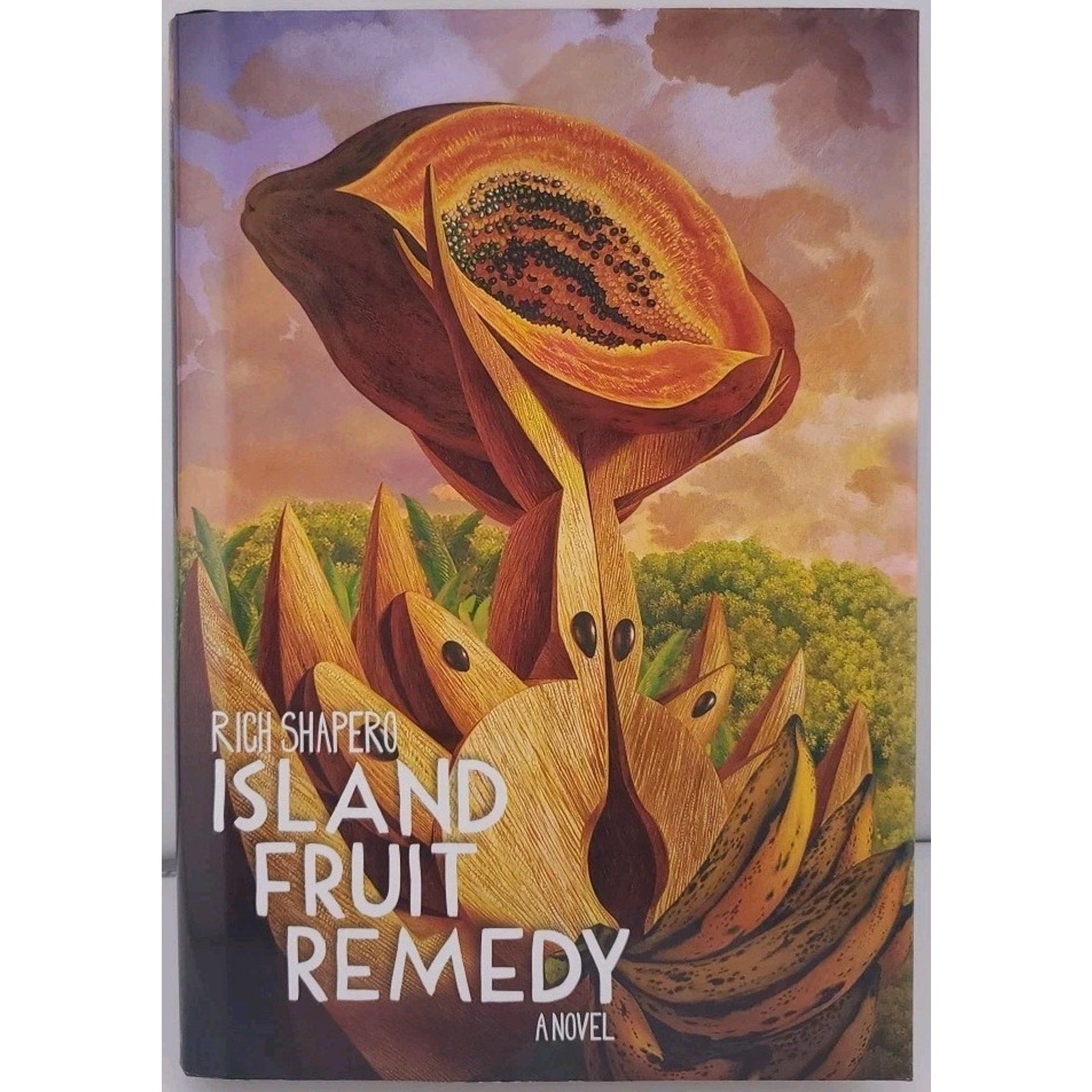 Island Fruit Remedy by Rich Shapero (2020, Hardcover)