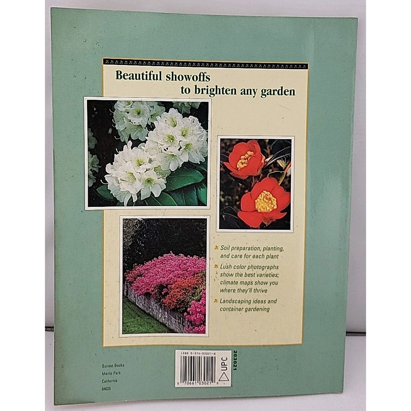 Azaleas, Rhododendrons and Camellias by H. Minns (1999, Trade Paperback)