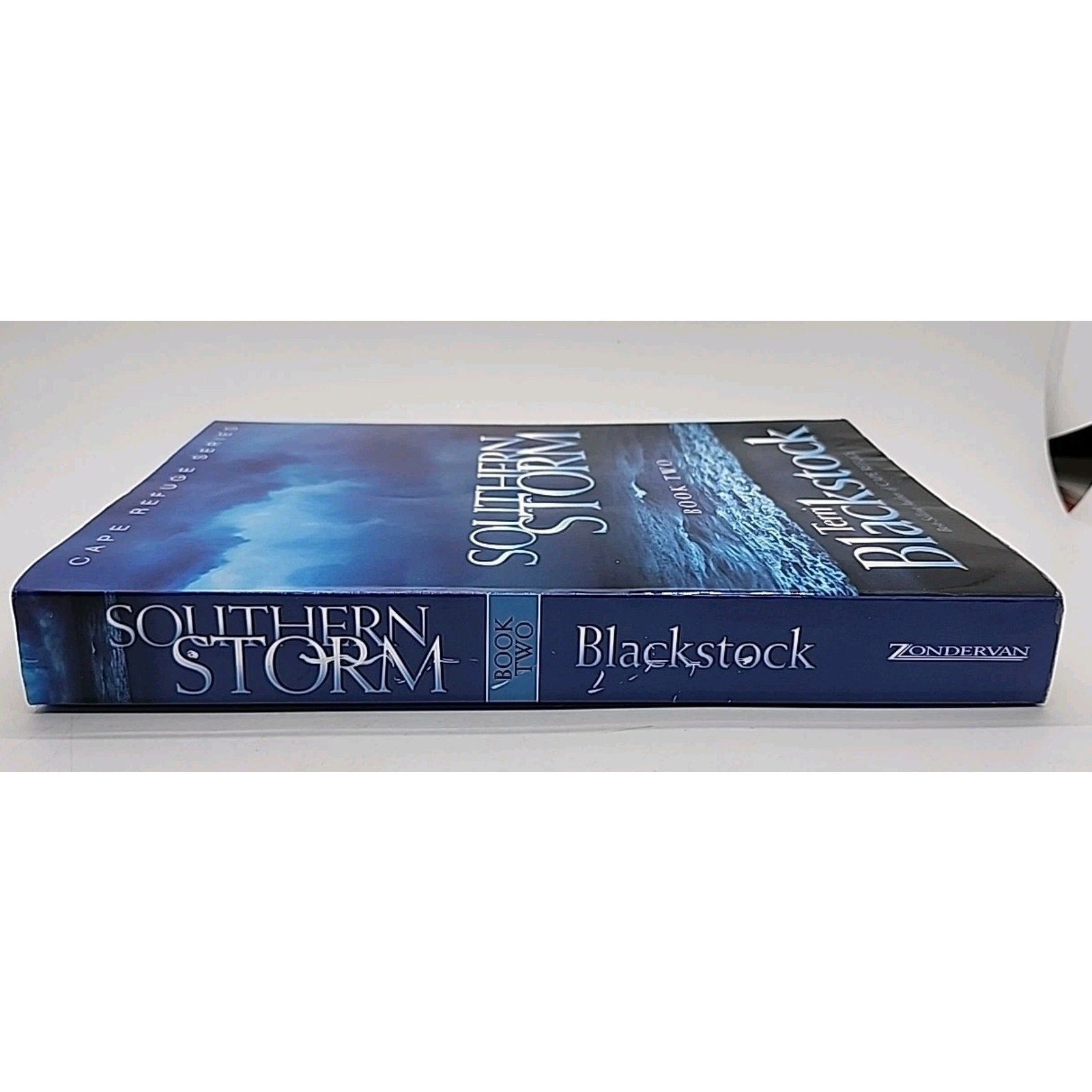 Southern Storm by Terri Blackstock (2003, Trade Paperback)