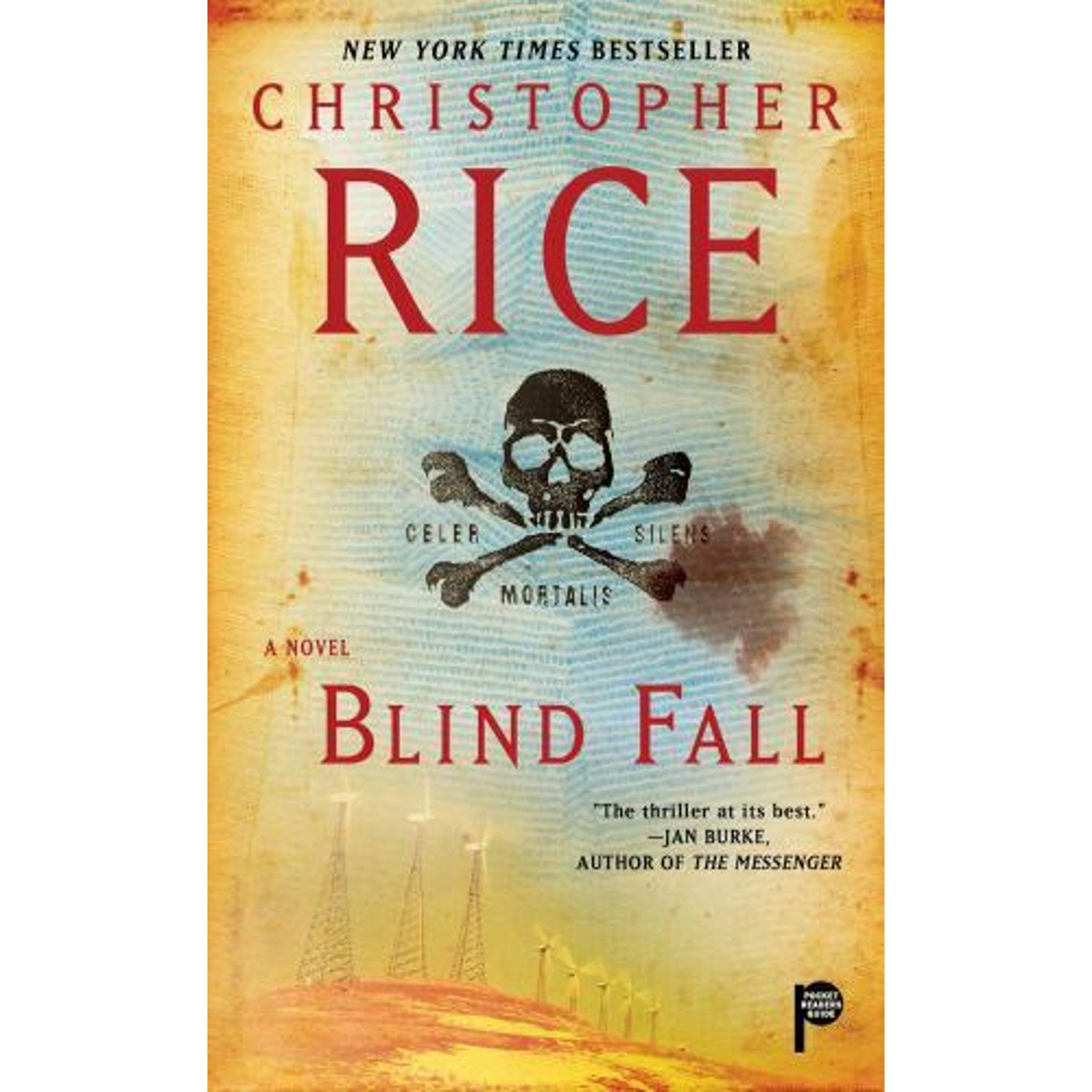 Blind Fall : A Novel by Christopher Rice (2010, Mass Market)