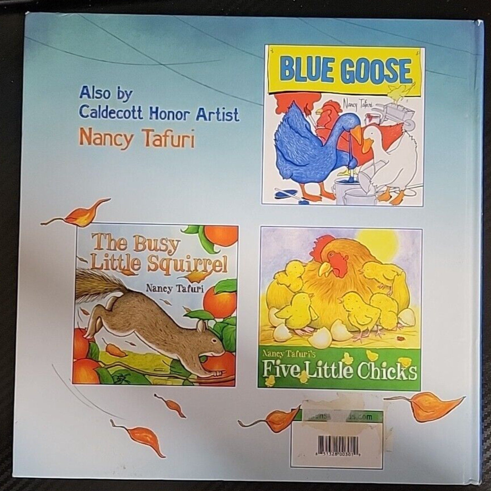 The Big Storm: A Very Soggy Counting Book Nancy Tafuri